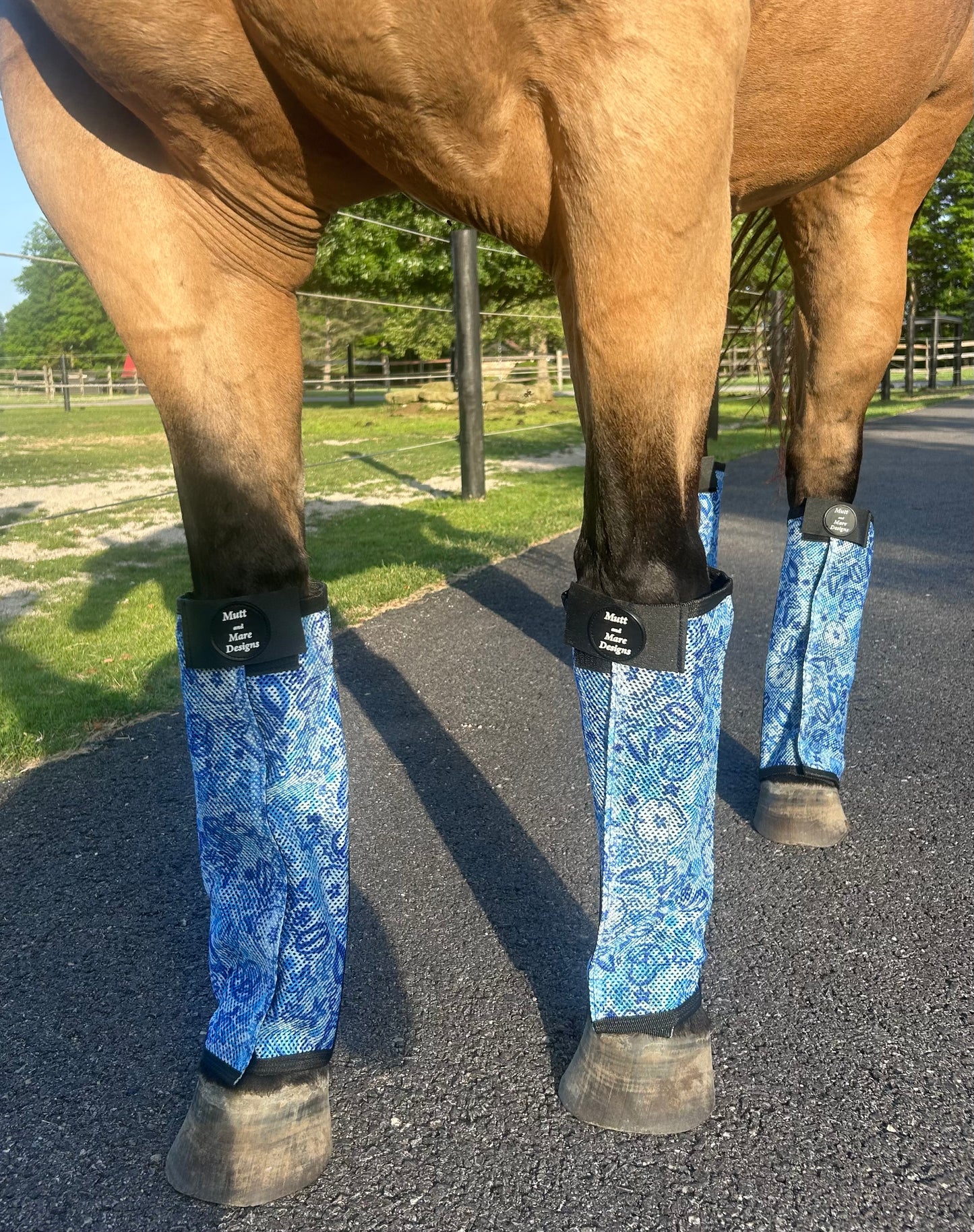 Blue Seashell Fly Boots