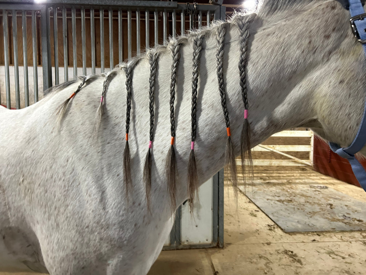 Mane and Tail Braiding Tape