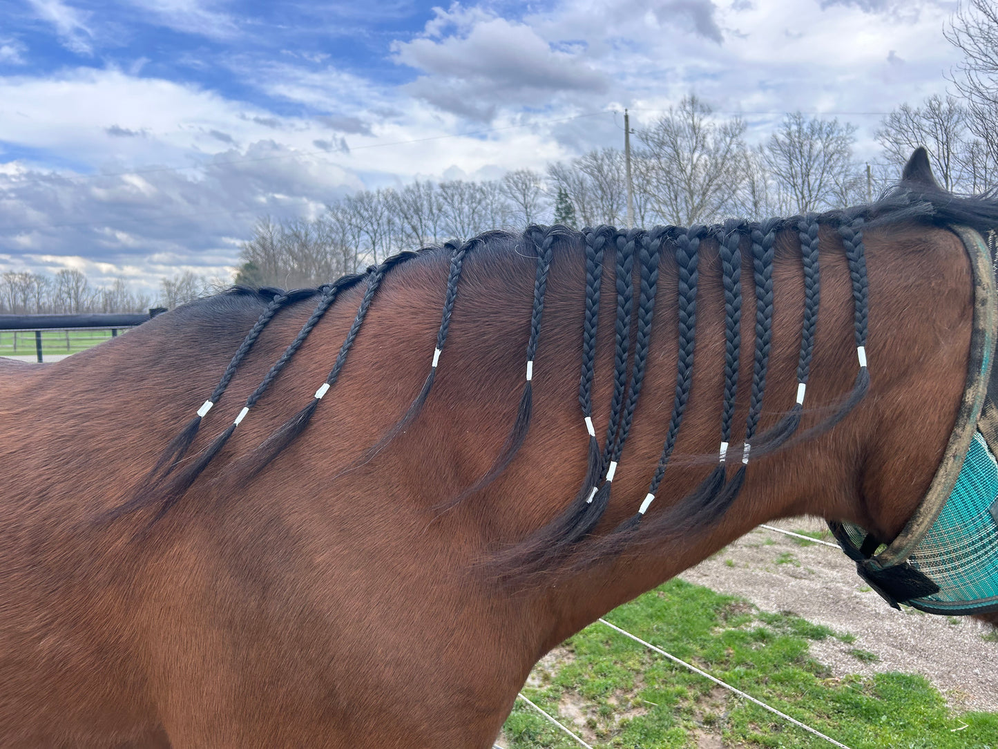 Mane and Tail Braiding Tape
