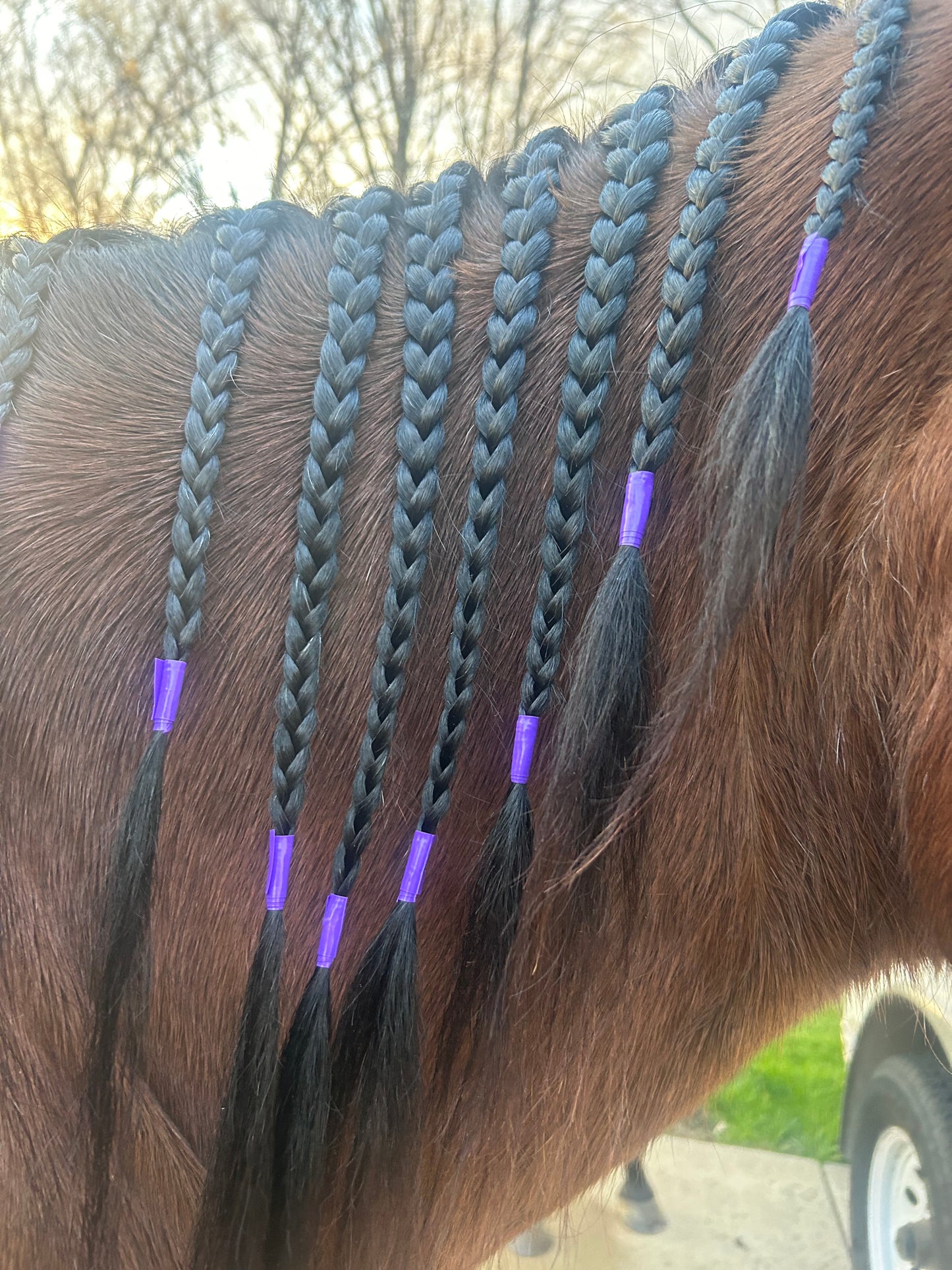 Mane and Tail Braiding Tape