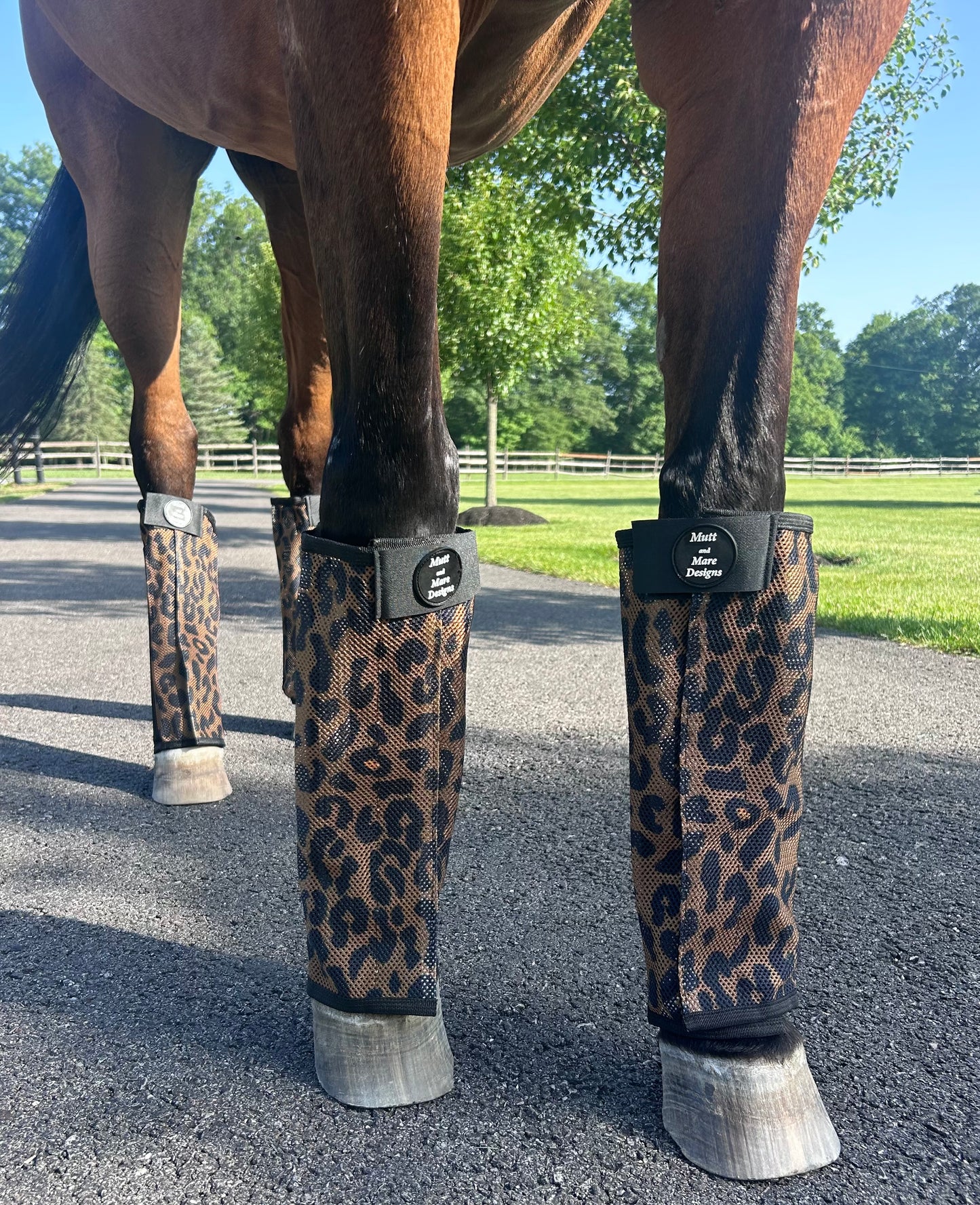 Leopard Fly Boots