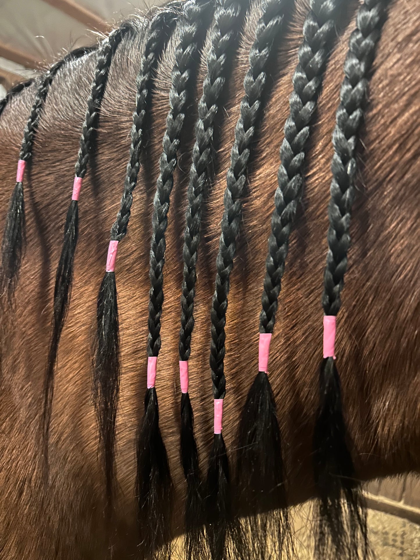Mane and Tail Braiding Tape